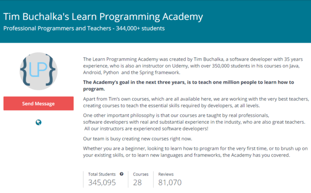 A Co-Instructor • The Learn Programming Academy
