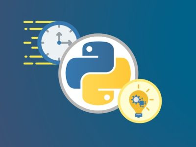 Python Crash Course:  Gain Real World Developer Skills Now!